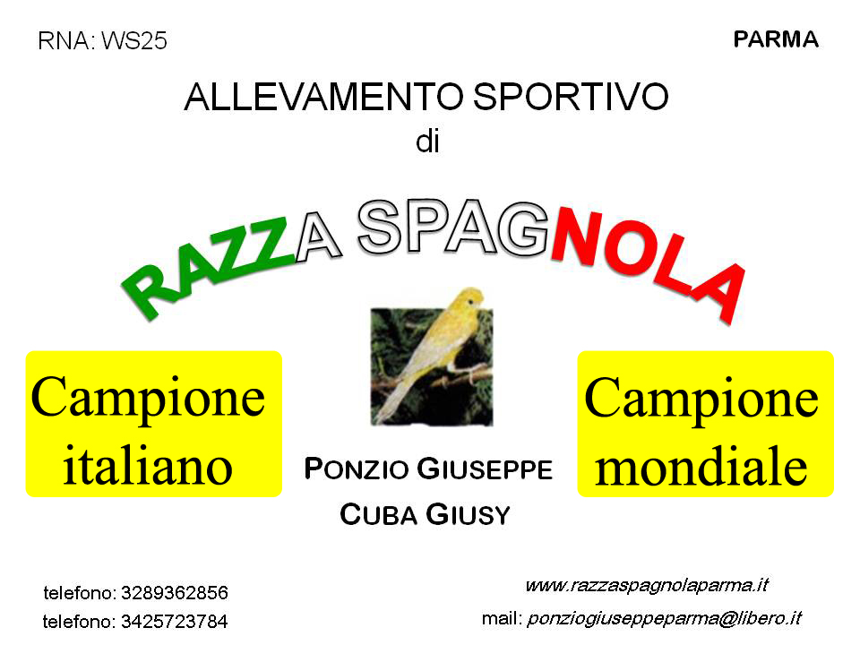 razza spagnola parma